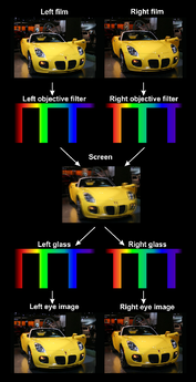 How Dolby 3D glasses work